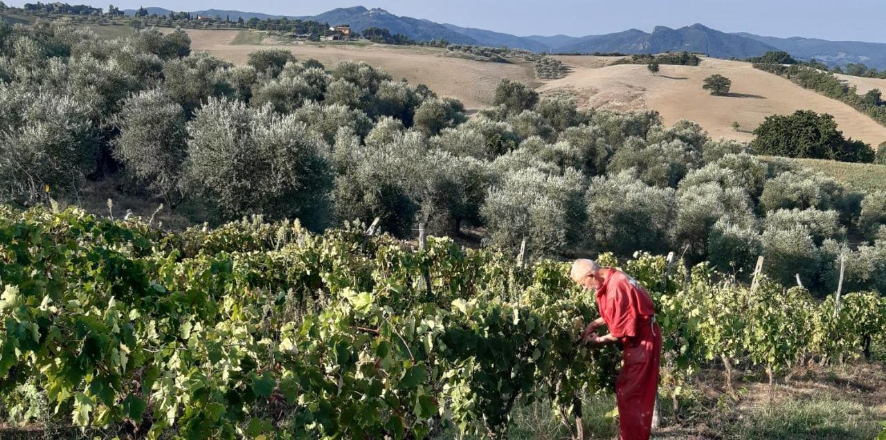 Agriturismo Santa Chiara بومارانسي المظهر الخارجي الصورة