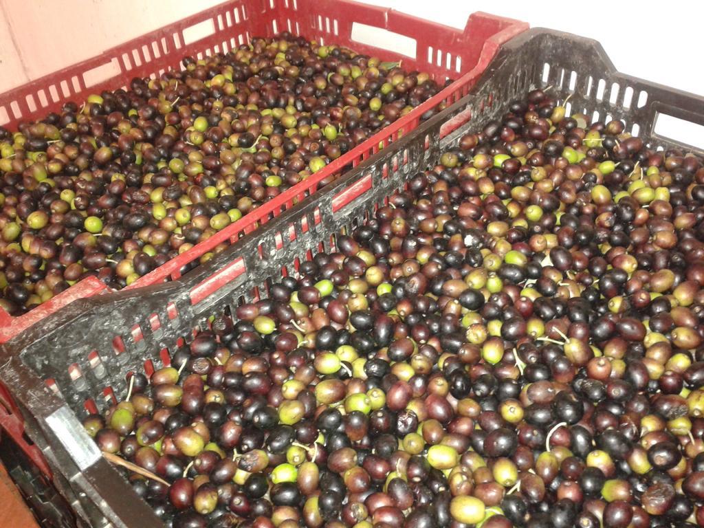 Agriturismo Santa Chiara بومارانسي المظهر الخارجي الصورة
