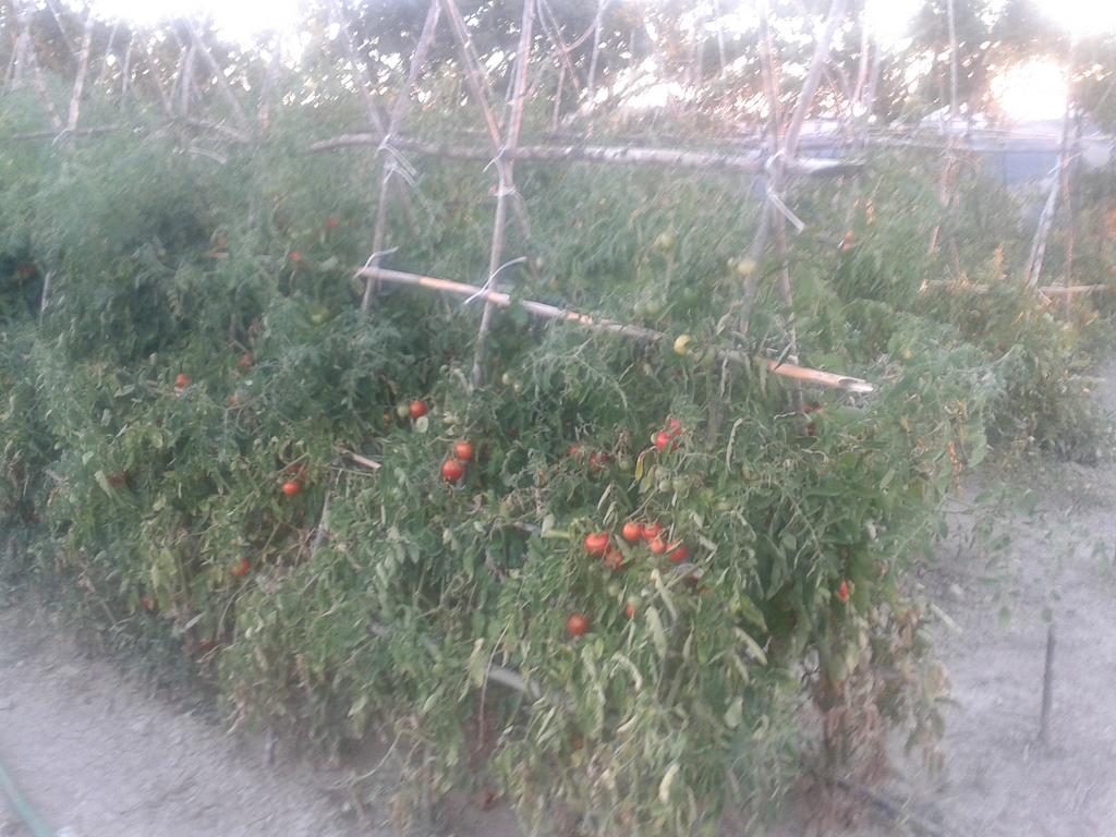 Agriturismo Santa Chiara بومارانسي المظهر الخارجي الصورة