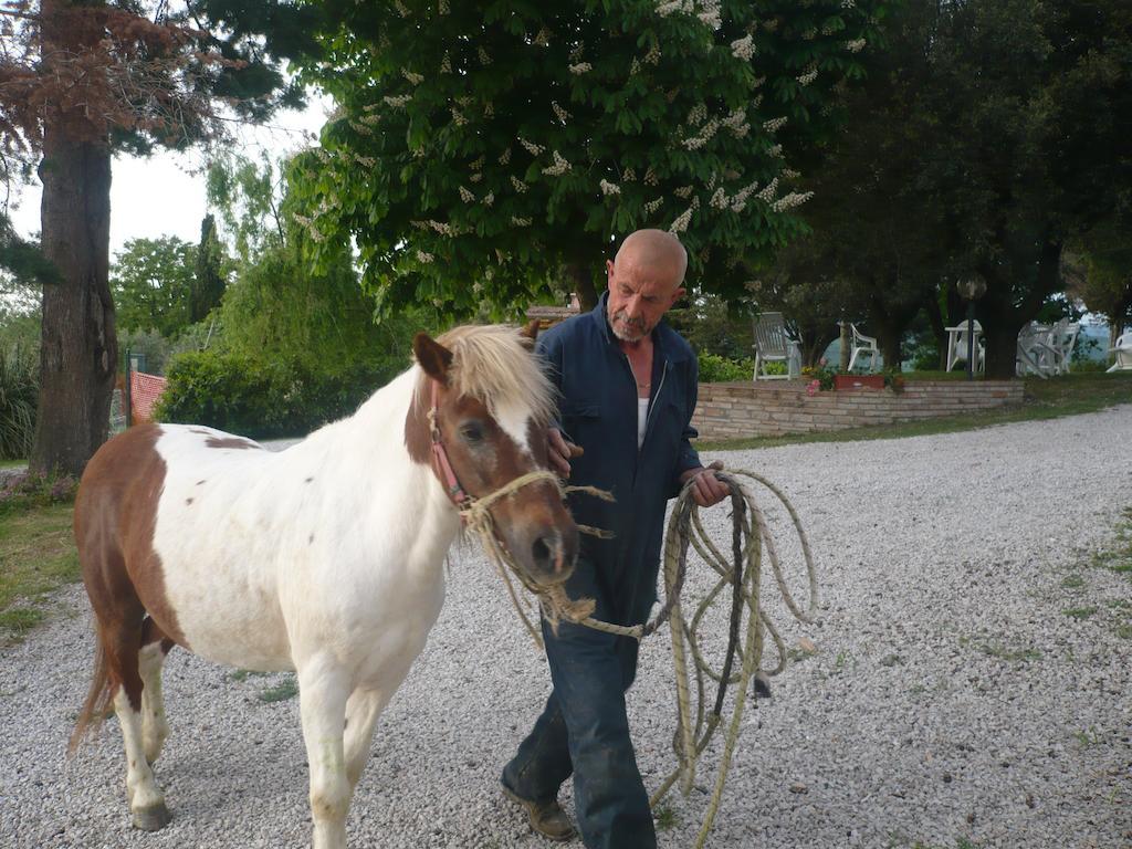 Agriturismo Santa Chiara بومارانسي المظهر الخارجي الصورة