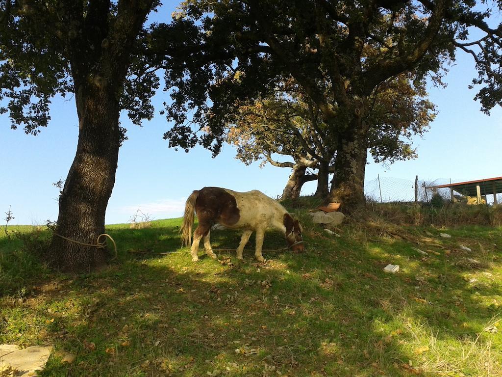 Agriturismo Santa Chiara بومارانسي المظهر الخارجي الصورة