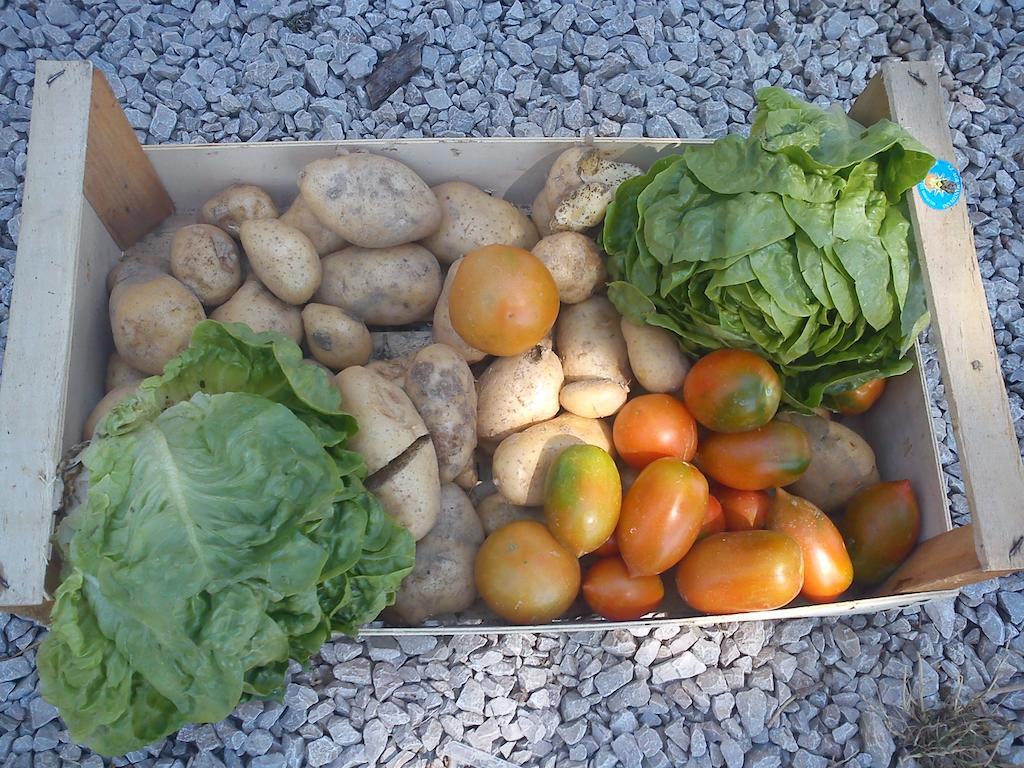 Agriturismo Santa Chiara بومارانسي المظهر الخارجي الصورة